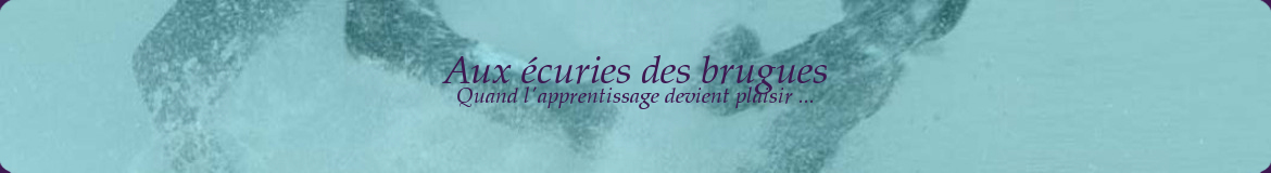 Aux écuries des brugues